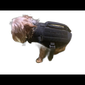 Dog Harness Military Vest XS
